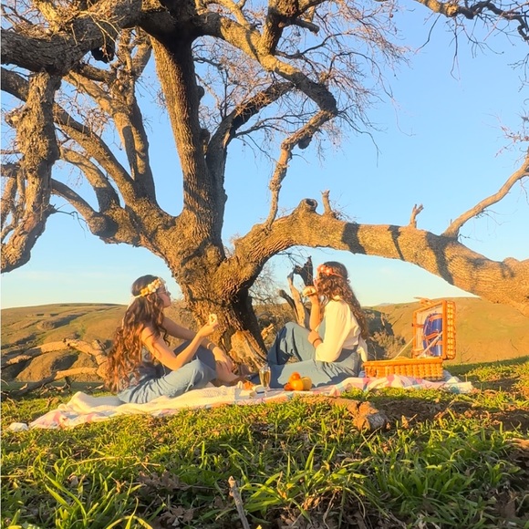 Meet your Posher, Arianna - Picture 2 of 3